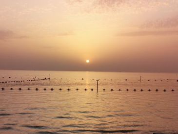 我现在做的几个手机副业